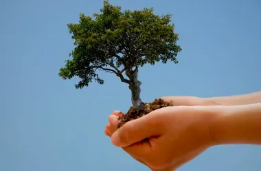 Минчан приглашают присоединиться  к проекту «Откажись от бумажного извещения - спаси дерево!»