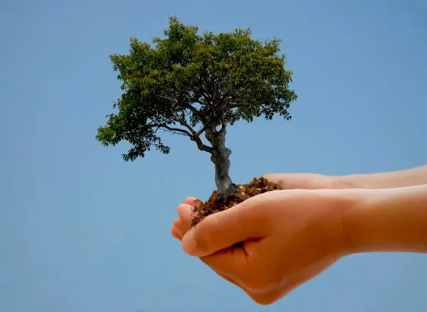 Минчан приглашают присоединиться  к проекту «Откажись от бумажного извещения - спаси дерево!»