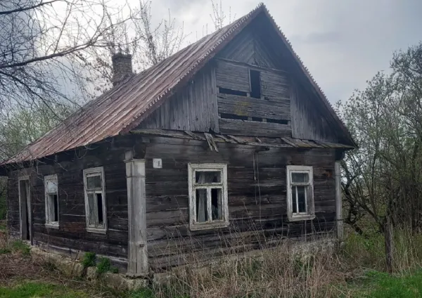 Более половины проданных пустующих домов в Беларуси ушли с молотка за одну базовую величину