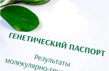 Генетический паспорт помогает выявить предрасположенность к более чем 20 заболеваниям