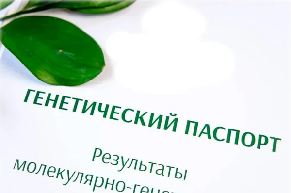 Генетический паспорт помогает выявить предрасположенность к более чем 20 заболеваниям