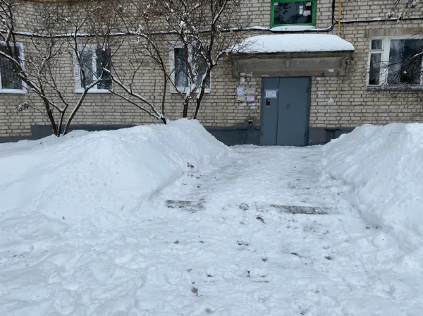 Центр гигиены и эпидемиологии отметил, что санитарное состояние Минска улучшилось