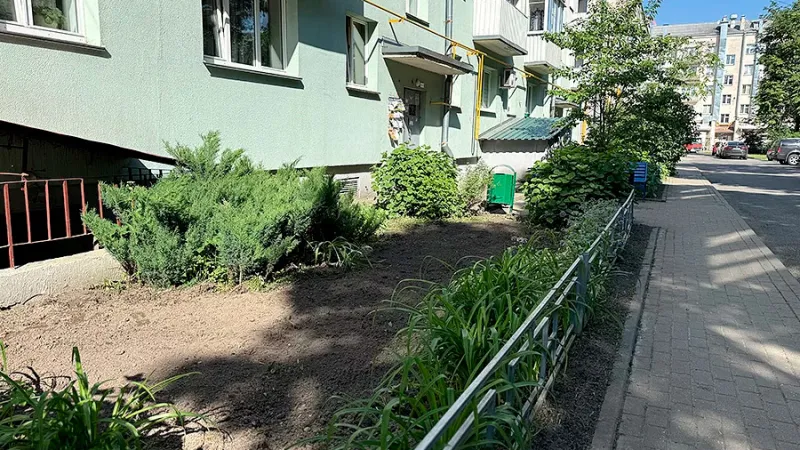 Молодежное движение по благоустройству дворов стартовало в Минске. Фото 3