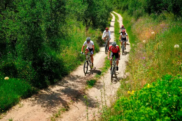 Более 300 маршрутов для активного отдыха существует в Беларуси