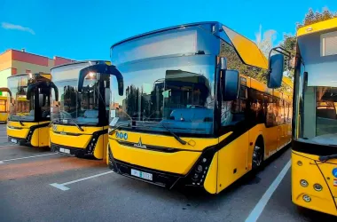 Первая партия автобусов МАЗ-303 прибыла в столицу для обновления парка