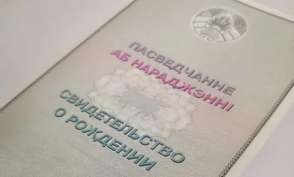 Чем заменить свидетельство о рождении или справку о доходах, если документы утеряны