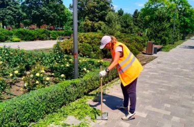 Минтруда разъяснил, кому доступны временные работы