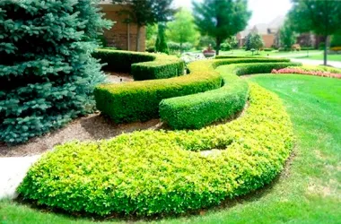 14 гражданских инициатив реализуют в Минске в этом году