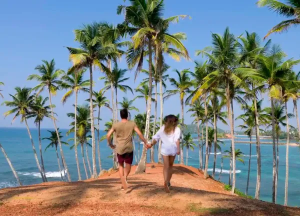 Для белорусских туристов на Шри-Ланке изменились визовые правила