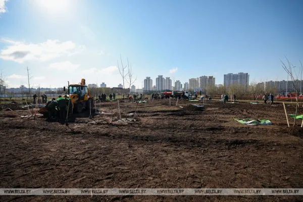 Республиканский субботник прошел в Беларуси