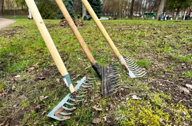 В Беларуси 18 апреля состоится республиканский субботник