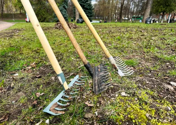 В Беларуси 18 апреля состоится республиканский субботник